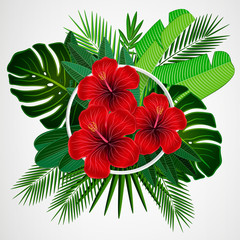 Tropical leaves with hibiscus flowers and white frame on isolate background.