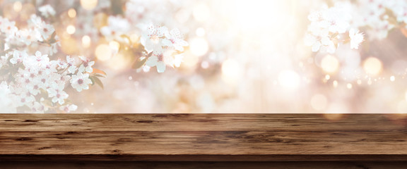 Cherry blossoms in spring with wooden table