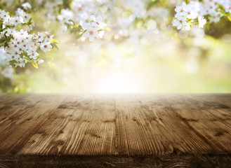 Fototapeta premium Background with cherry blossoms and table