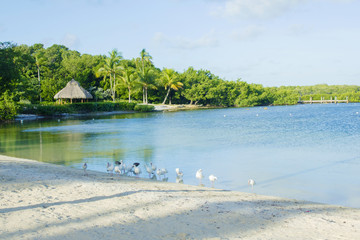Beach hut refection on water