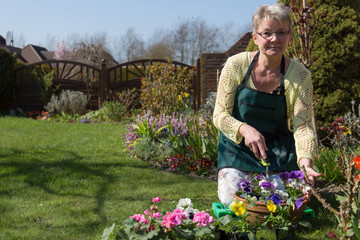 Fototapeta na wymiar Frau mit Blumen bei der Gartenarbeit