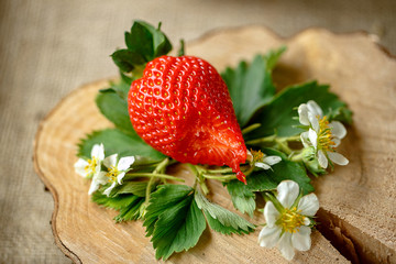 bite ripe strawberries on wood.