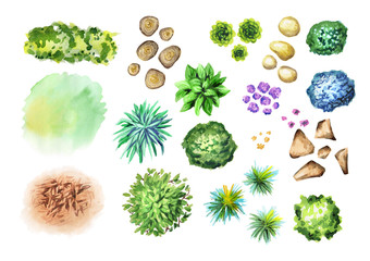 Big hand drawn garden plants set. Elements of landscape design. Watercolor