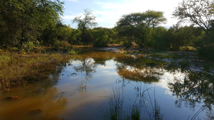 landscape photo with flooded pathway