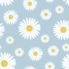 White daisy flower seamless pattern. Chamomile on blue background