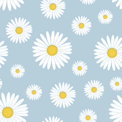 Obraz premium White daisy flower seamless pattern. Chamomile on blue background