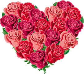 Heart of blooming roses.