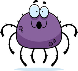 Surprised Little Spider
