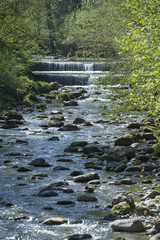 Fluss 