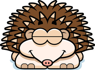 Sleeping Little Hedgehog