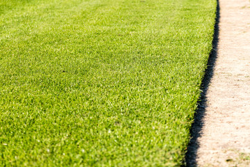 Rollrasen abgeschnitten mit Kante