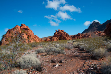 Landscape in Lake Mead.National Recreation Area, USA