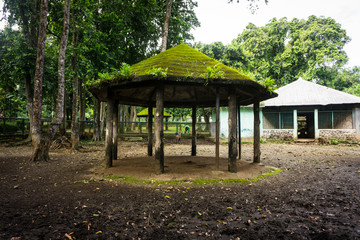a gazebo with moss and ferns on the roof and pillars made from wood photo taken in ragunan zoo...