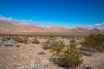 Landscape in Lake Mead.National Recreation Area, USA