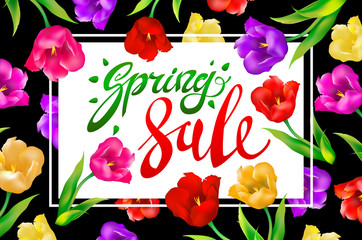 Spring Sale Banner, colotful tulips flowers black background with lettering. Template for greeting post card. Vector illustration EPS10.