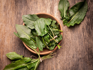 Fresh sorrel vegetable