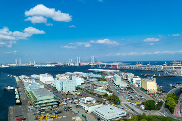 Fototapeta premium Wzgórze z widokiem na port