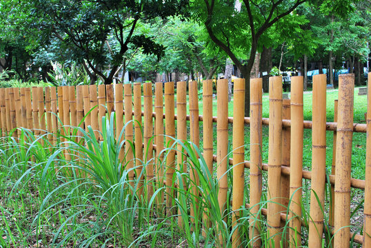 Bamboo fence in the garden