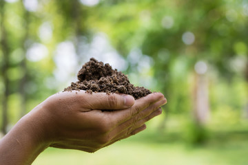 Farmer hands holding the soil.