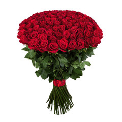Red rose. Isolated large bouquet of 101 red rose on white