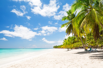 Obraz na płótnie Canvas Beautiful tropical white beach and coconut palm trees