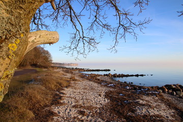 Winter mood on the beach in February so lovely