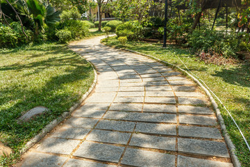 Wide view of green garden with grass, trees, plants, shadows and pathway, Chennai, Tamil nadu, India, Jan 29 2017 