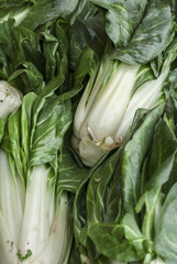 fresh vegetables on market