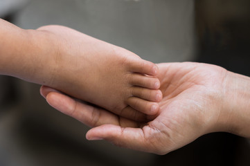 Fototapeta premium Baby foot in woman hand,parent concept.