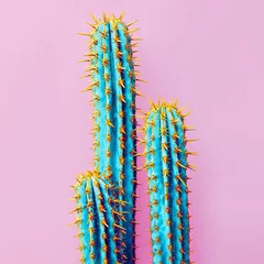 Fototapeten Set Neon-Kaktus. Minimales kreatives Stillleben © Porechenskaya