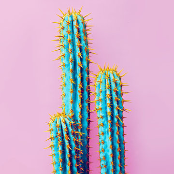 Set Neon Cactus. Minimal creative stillife