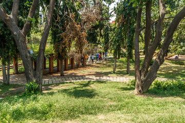 Green bush, plants in a garden, Chennai, India, April 01 2017