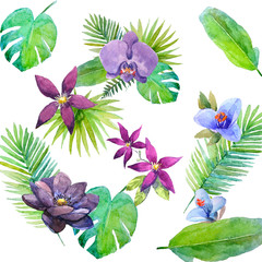 Watercolor pattern with tropical lilac flowers,green leaves on white background.