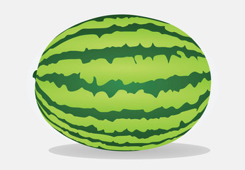 Watermelon vector
