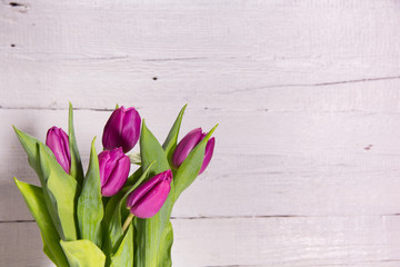 Fototapeta na wymiar Fresh pink tulips