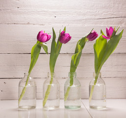 Several tulips in glass bottles