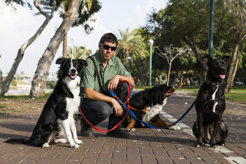 Dogwalker with Dogs in Park