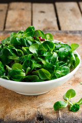 Fresh corn salad in a white bowl on a wooden background