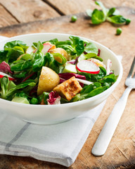 Potato salad with vegetables and tofu
