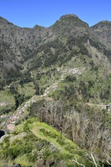 Fototapeta na wymiar Madeira im Frühling