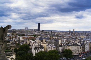 Notre dame view 02