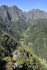 Fototapeta na wymiar Madeira im Frühling