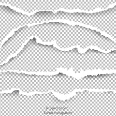 torn paper edges, horizontally, and transparent background. vector art illustration.