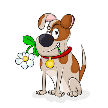 Dog With A Flower