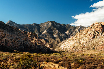 Arid Desert Mountain Cliffs