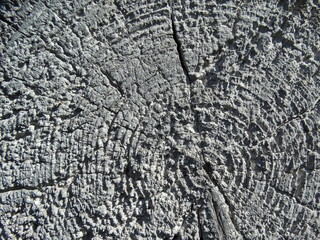 Painted wood