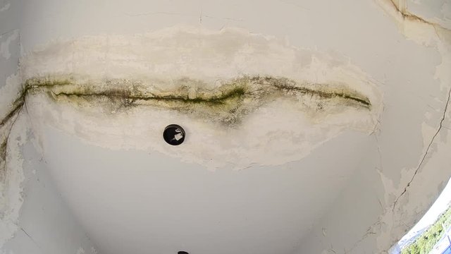 Fungus roof leak mold damage abandoned