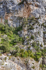 Fototapeta na wymiar View on mountain rock with bushes