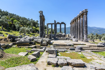 zeus temple