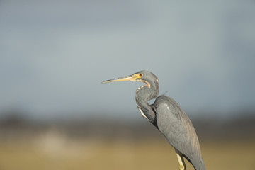 Time To Take A Break 2